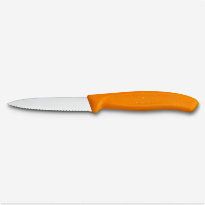 Cuțit de bucătărie Victorinox Swiss Classic Paring Knife 6.7636.L119