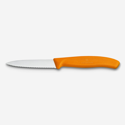 Cuțit de bucătărie Victorinox Swiss Classic Paring Knife 6.7636.L119