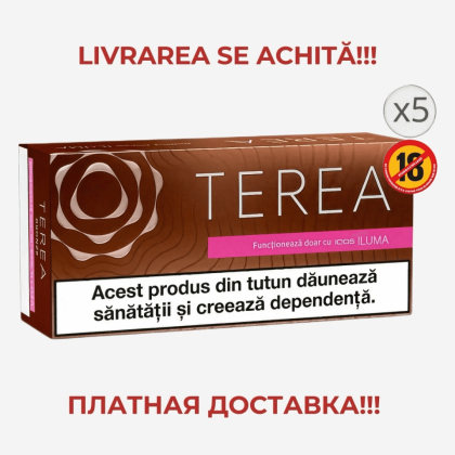 Terea Bronze