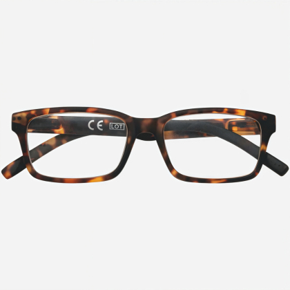 Очки для чтения Zippo +2.5 31Z-PR99-250